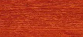 Forest red gum